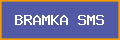 BRAMKA SMS