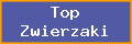 Top Zwierzaki
